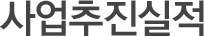 사업추진실적
